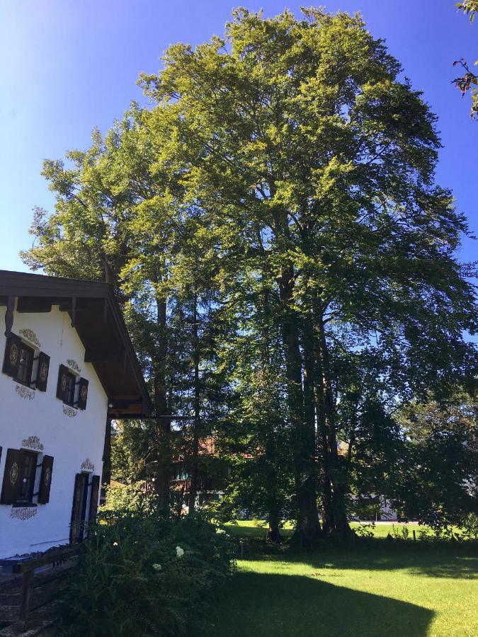 Traumhaftes Ferienhaus Direkt Am Tegernsee Rottach-Egern Exterior photo